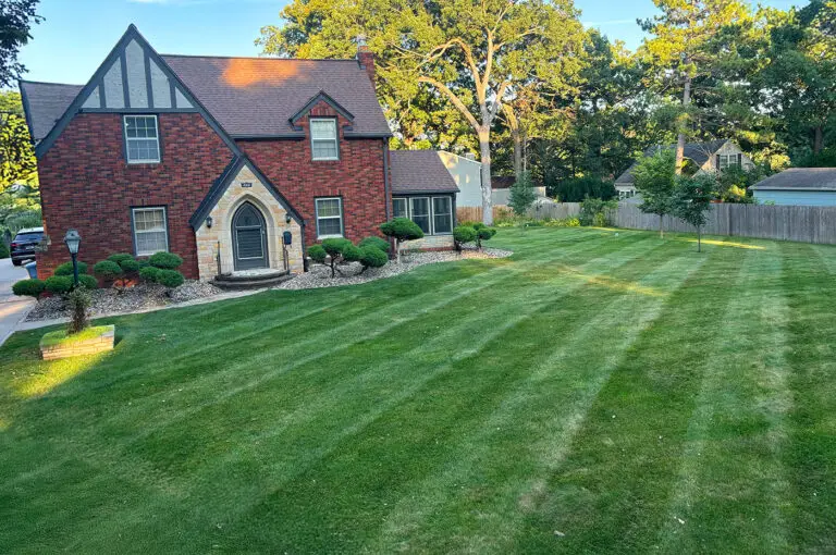 Lawn Care Experts for a clean yard after winter in Des Moines Iowa