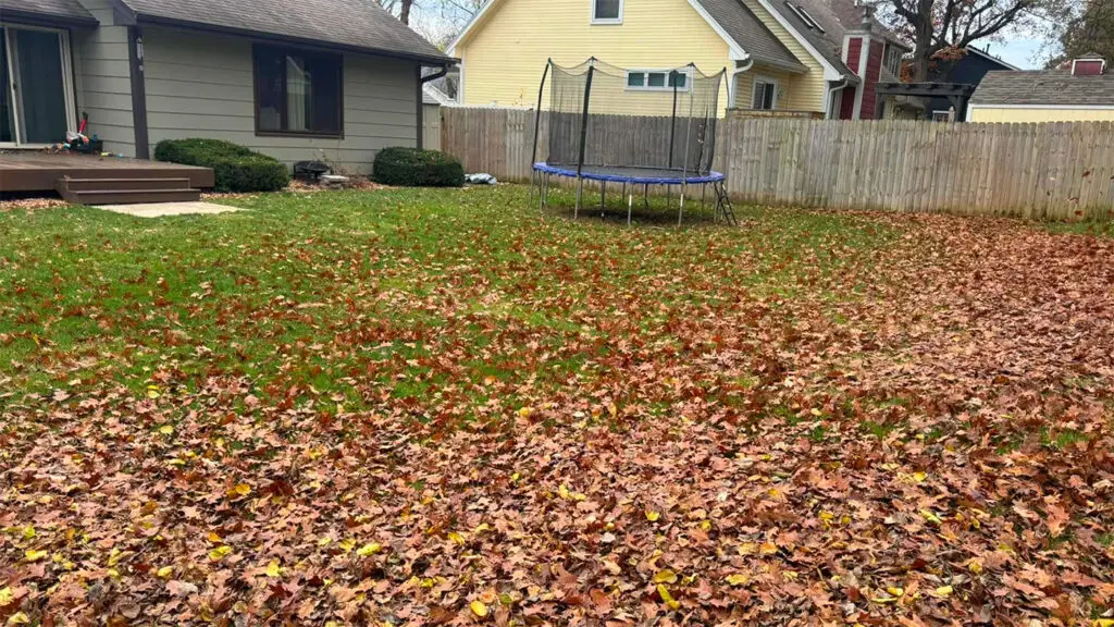 Seasonal lawn care cleanup in Des Moines