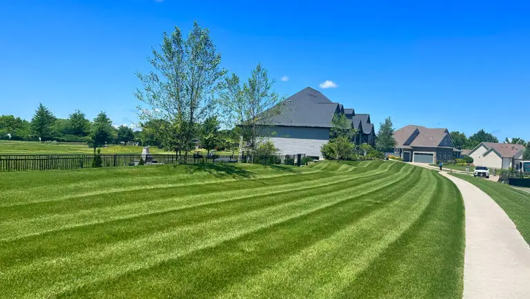 Fertilizer Application for Lawn care and maintenance